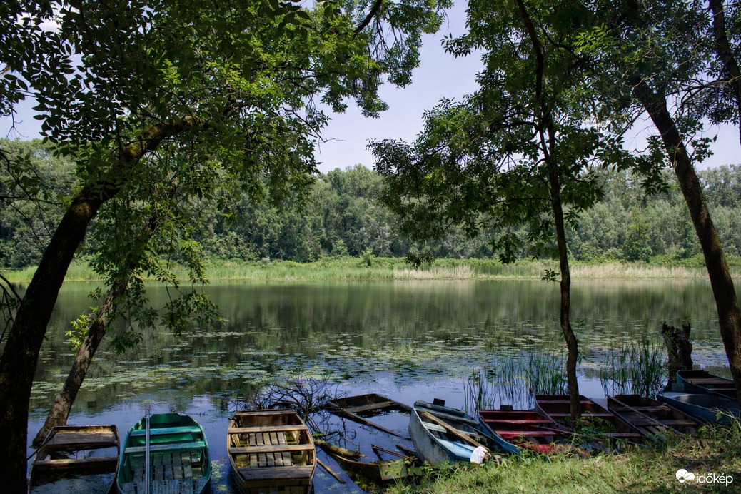 Sokszínű csónakok