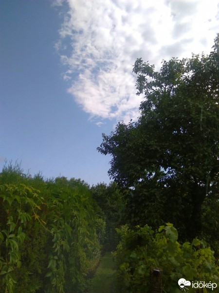 Észlelési fényképek