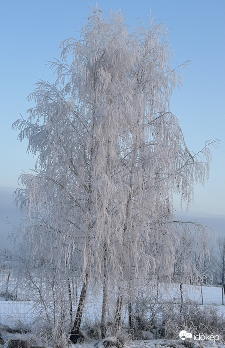 Zúzmarába öltözve 