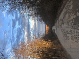 Egy kis napsütés a nap végére 