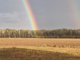 Ott a vége