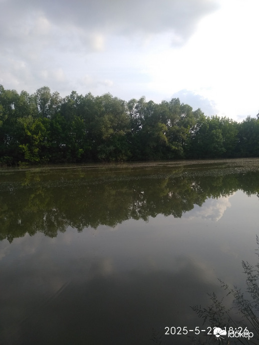 Sarkad