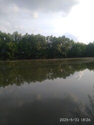 Sarkad
