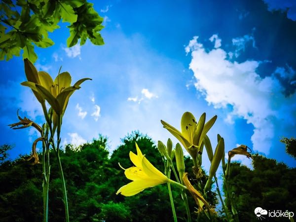 Észlelési fényképek