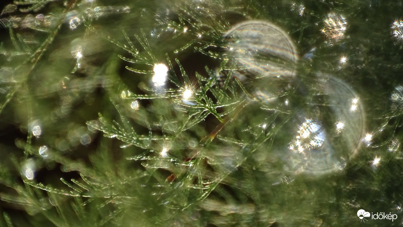 Szikrázó esőcseppek.