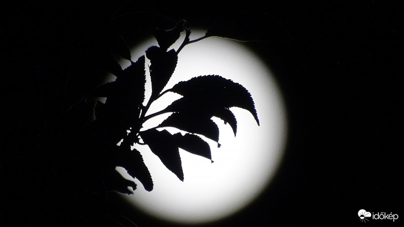 Szépen kerekedik a Hold.