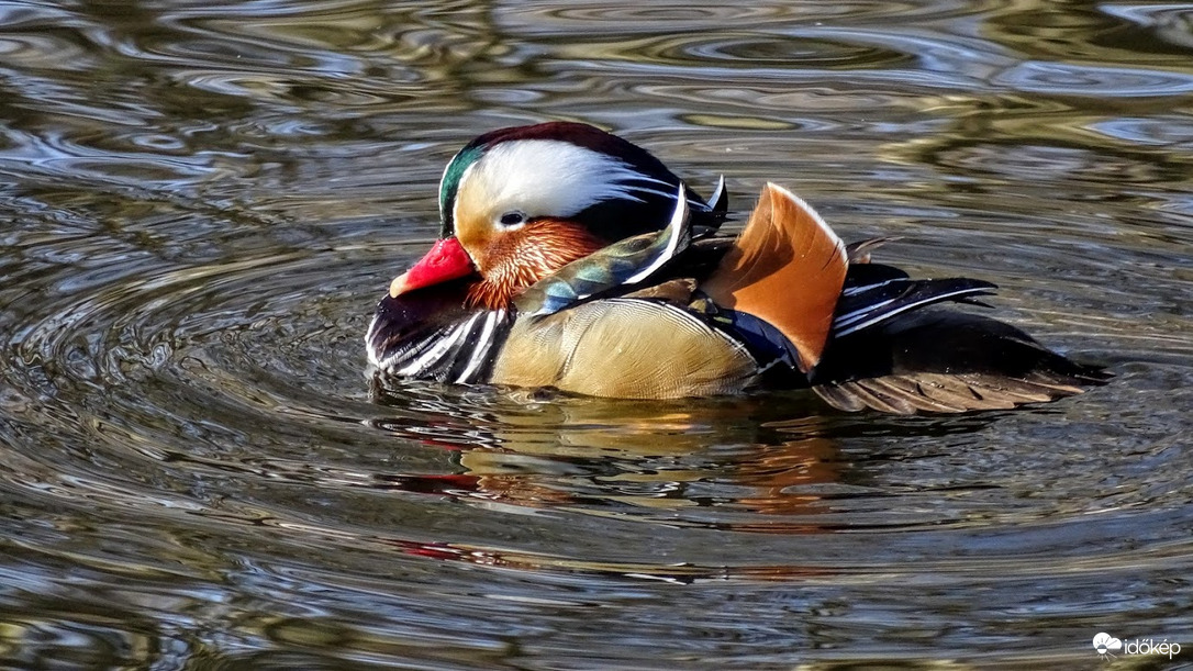 A kör közepén.