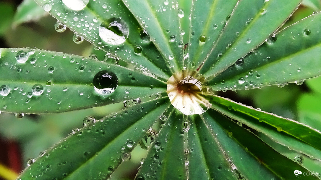 Minden évszakban szép