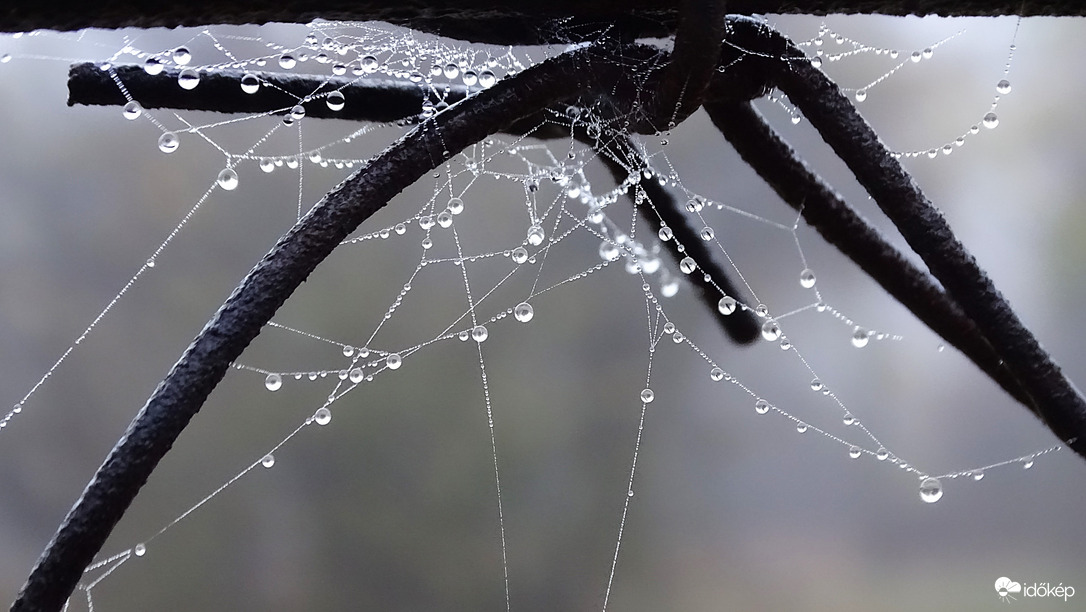 Kis pók, kis háló.