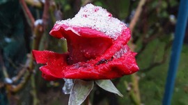 Kicsit havas, kicsit jeges.