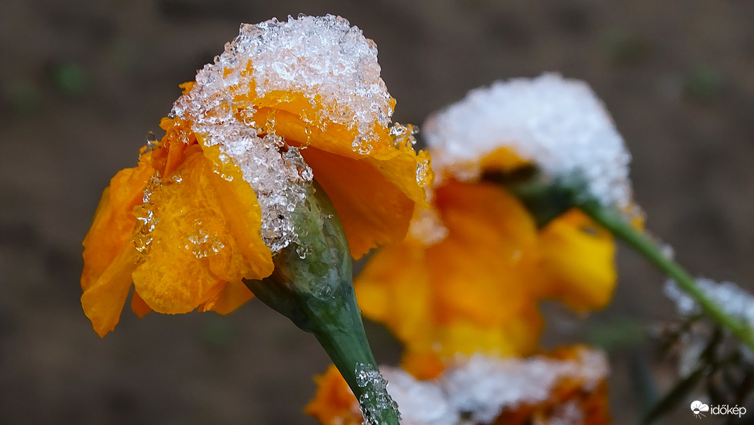 Állom a sarat(havat).