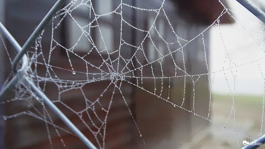 Pókháló van már az ablakon...