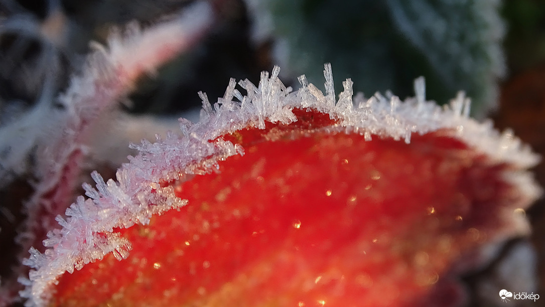 Itt a tél, itt a dér.