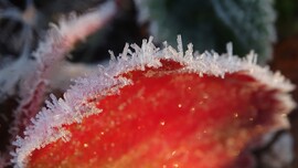 Itt a tél, itt a dér.