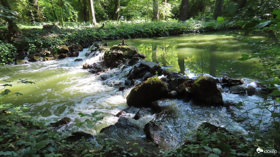 Vácrátóti Arborétum.