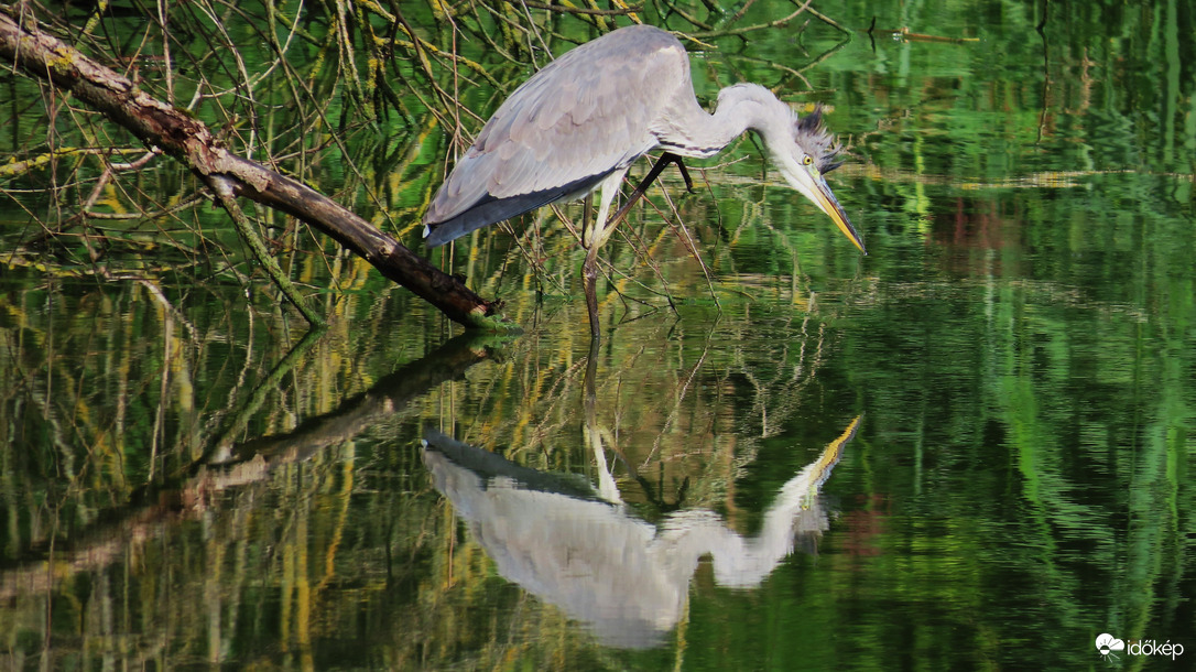 "A hajam is égnek áll,