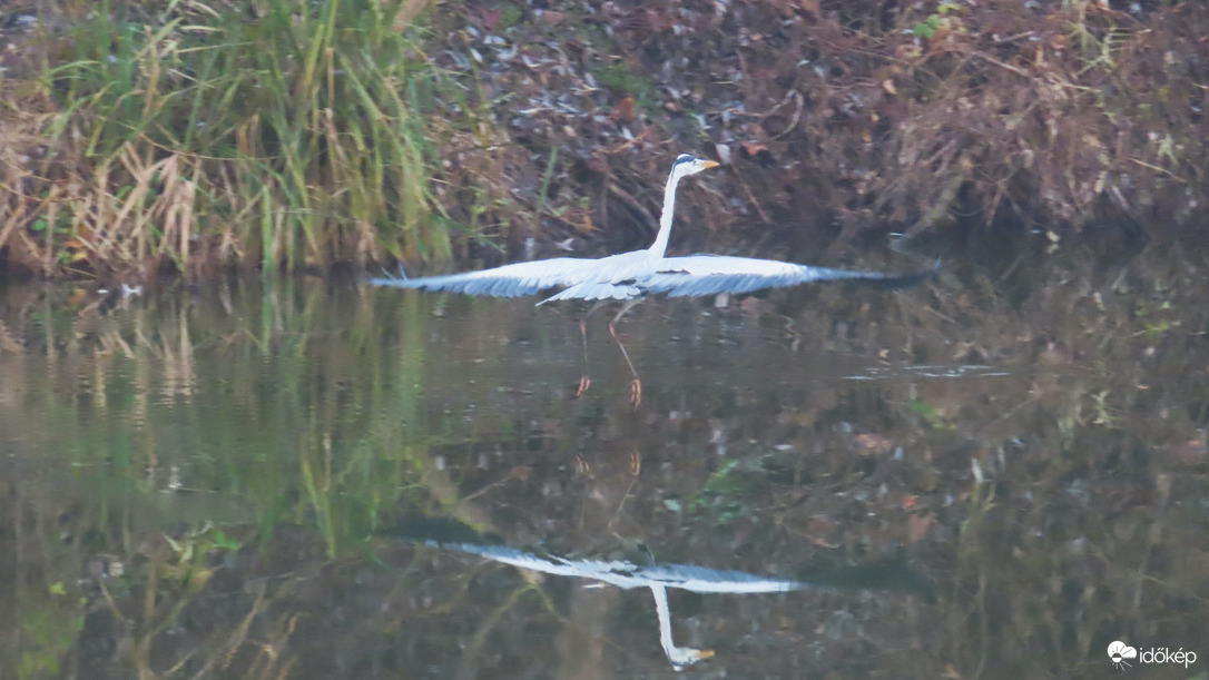 "Csak el ne tévedjek a ködben"!
