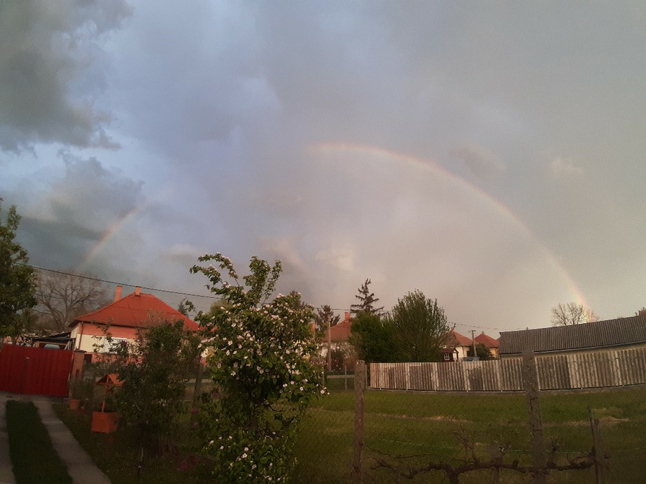 Észlelési fényképek