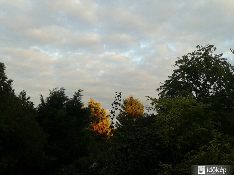 Észlelési fényképek