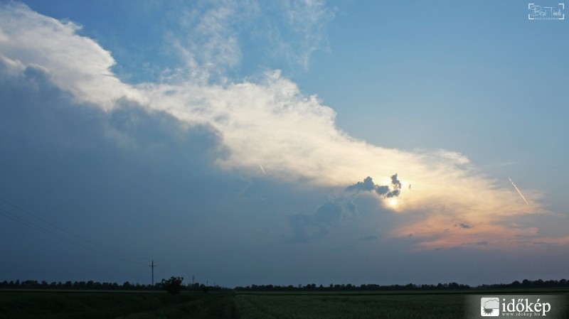 Vásárhely határában