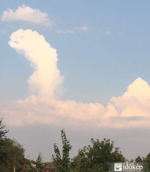 Észlelési fényképek