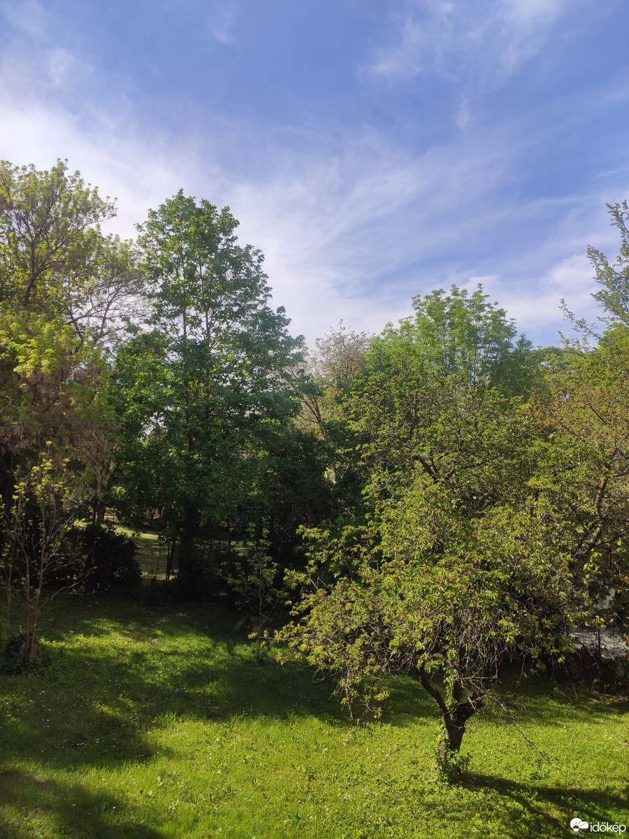 Észlelési fényképek