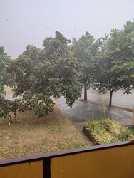 Szigetvár