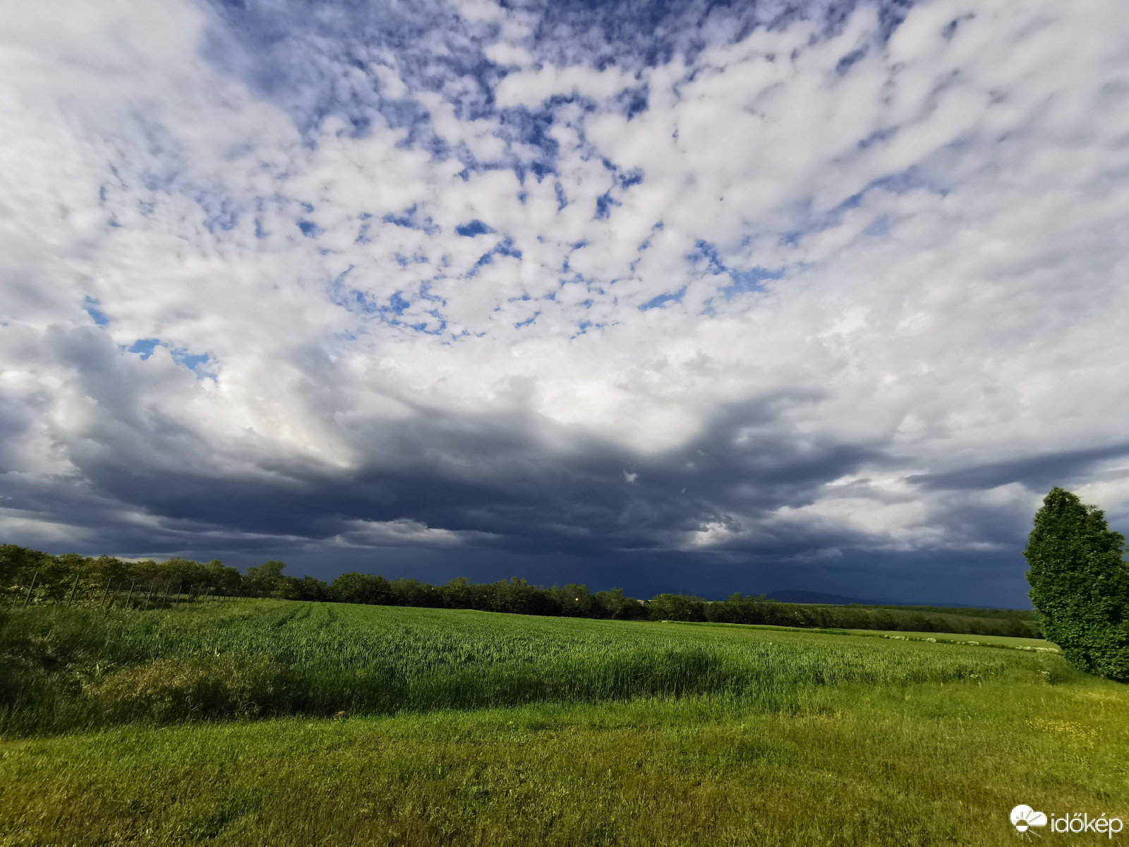 Észlelési fényképek