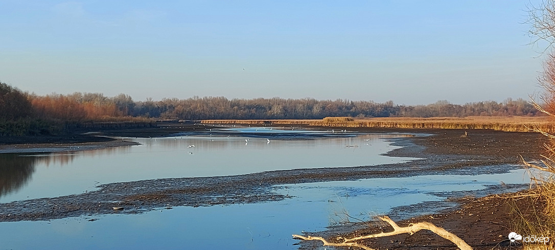 Téli vízállás a Tisza-tavon 7.