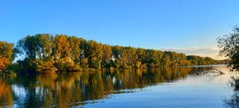 Tiszaderzs
