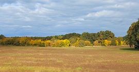 Tiszaörvény