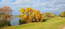 Tiszaörvény