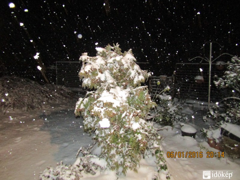 Észlelési fényképek