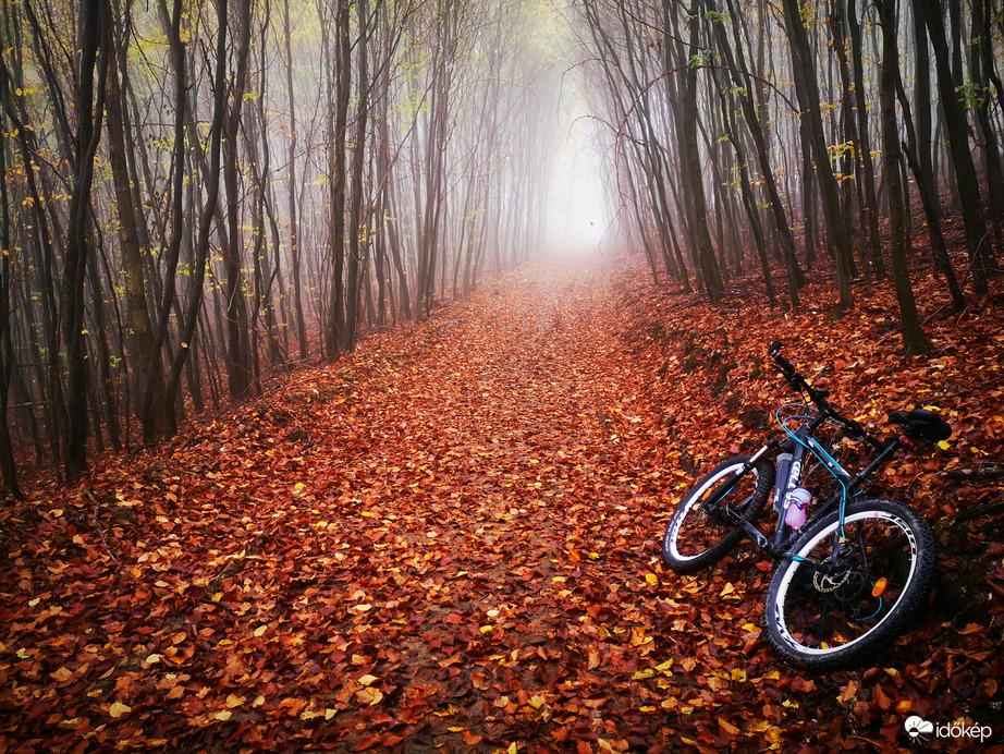 Vérvörös avar Salgó-vár felé