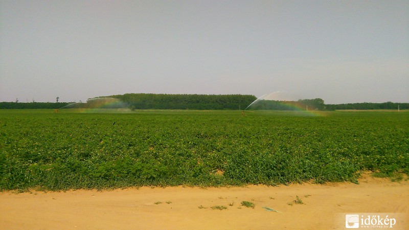 Észlelési fényképek