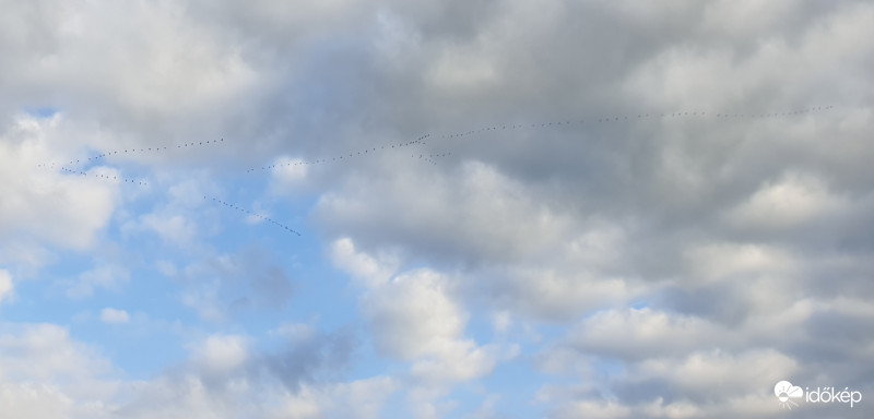 Észlelési fényképek