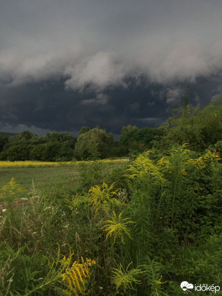 Észlelési fényképek