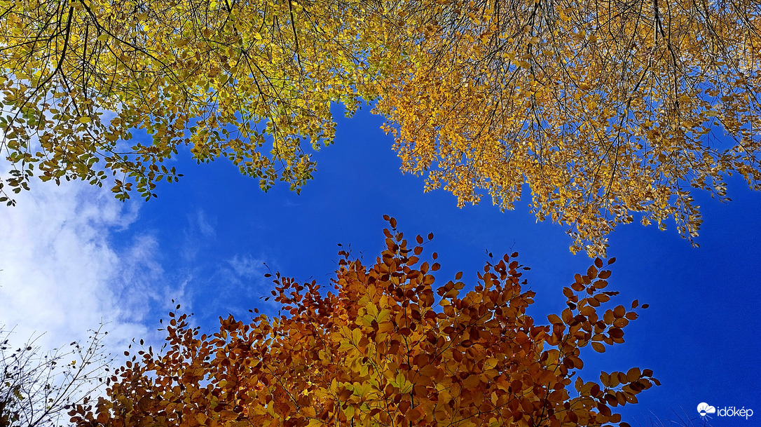 A Bükk őszi csodái - 3