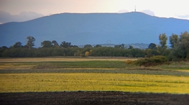 2025. Ősz - 1