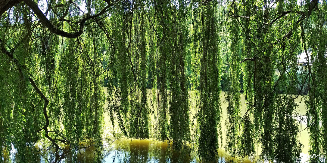 A borsodnádasdi Felső-tó - 1