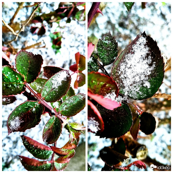 Lepelnyi hó érkezett