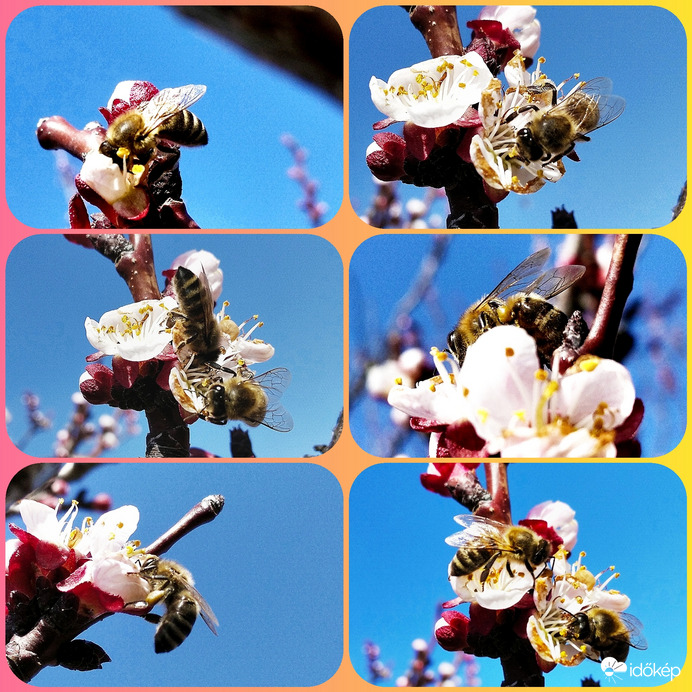 Beindult a munka... :)