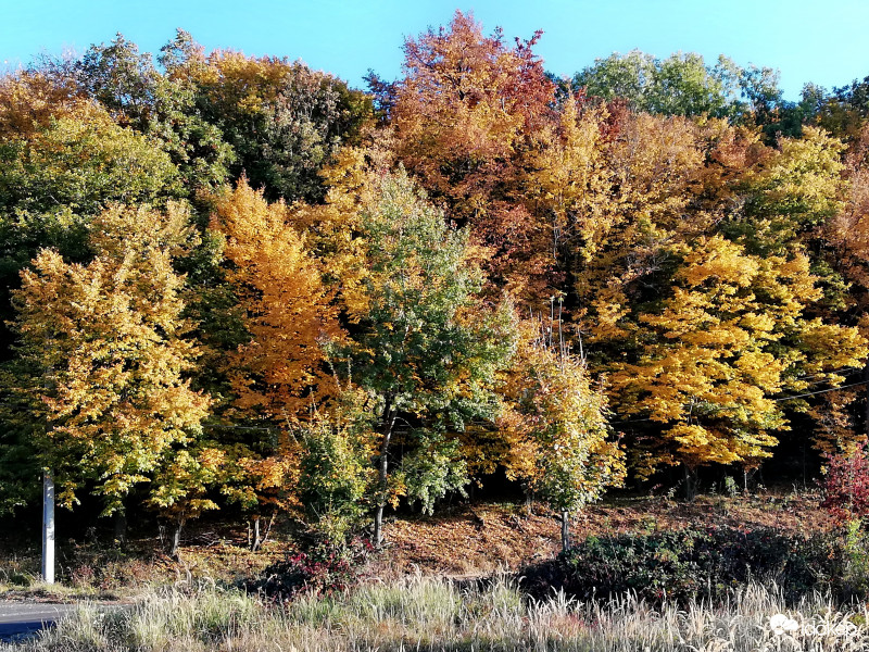 Az ősz színei a Mátrában. (1)