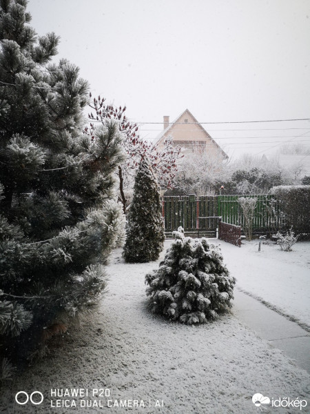 Észlelési fényképek