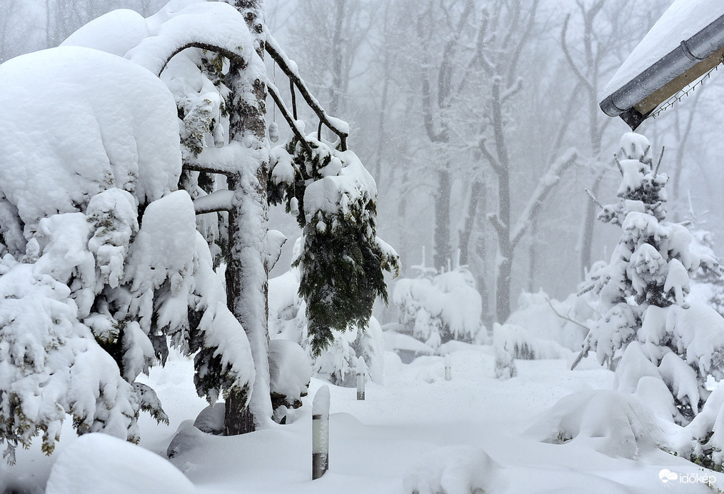 Hihetetlen és Gyönyörű 2026.02.20. De. 9:00 óra 