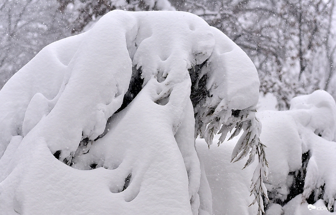 Hihetetlen és Gyönyörű 2026.02.20. De. 9:00 óra 