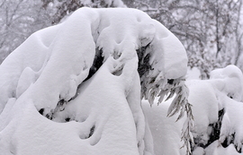 Hihetetlen és Gyönyörű 2026.02.20. De. 9:00 óra 