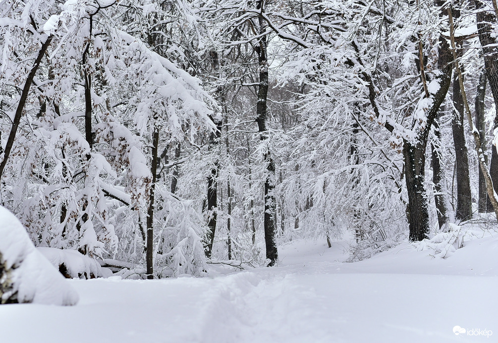 50cm a Kőszegi-hegyen 2026.02.20.  Du. 15:00 után. Gyönyörű...