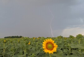 Zsámbok