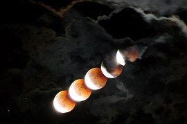 Szégyenlősen, elbújva...